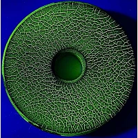 Магнитный порошок КРАФТЕСТ МагФло-9 флуоресцентный